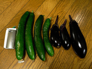 20080709farm5.jpg