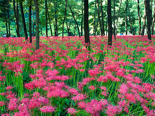 20080923p01.jpg
