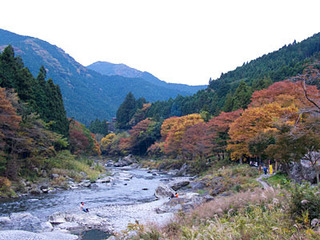 20081118mitake1.jpg