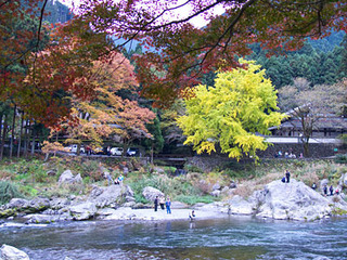 20081118mitake2.jpg