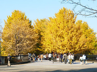 20081130s02.jpg