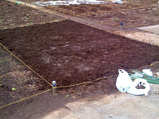 20090301f2.jpg