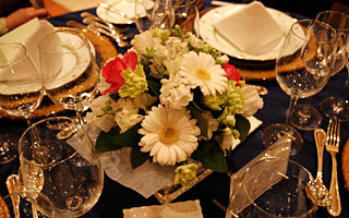 20090315p2.jpg
