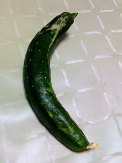 20090524f1.jpg