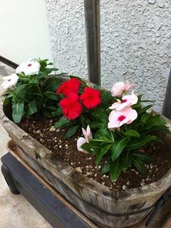 20120506p1.jpg