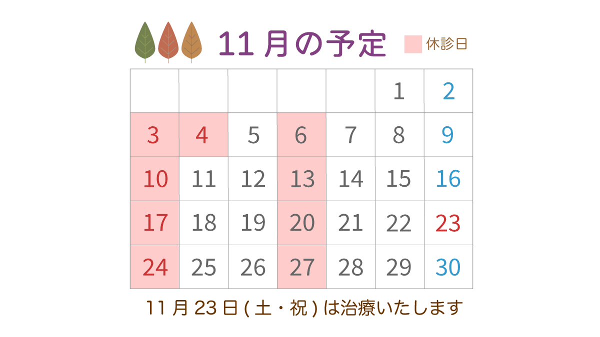 11月の予定