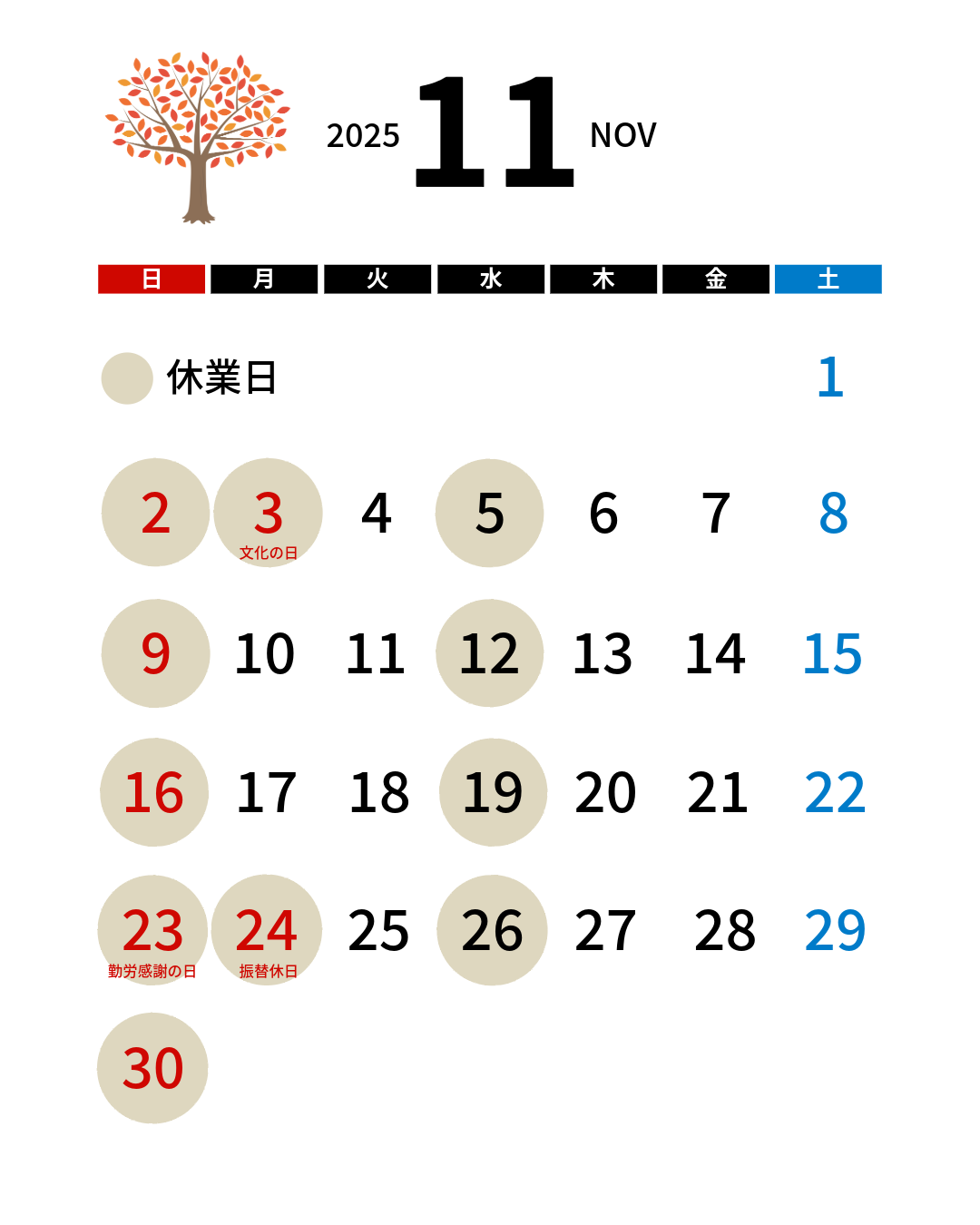 2025年11月の予定