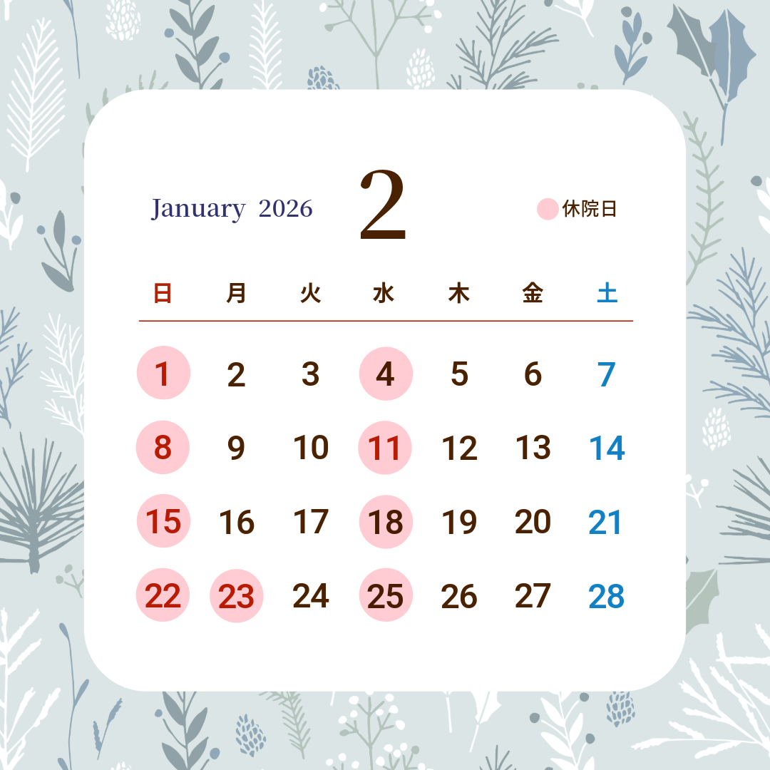 2026年2月の予定